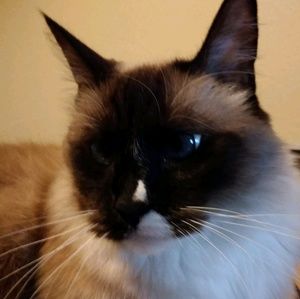 Meet your Posher, Marc